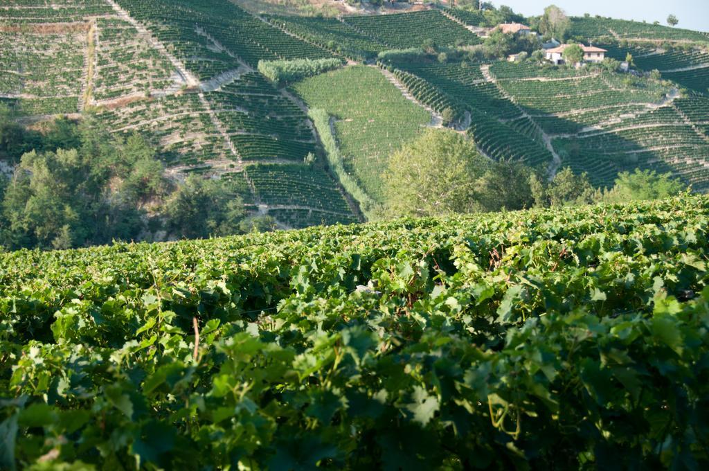 Cadgal - Tenuta Valdivilla Santo Stefano Belbo Exterior photo
